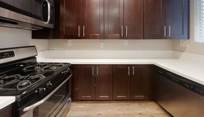 River Ridge Apartment Homes – Plan 1 3D Model